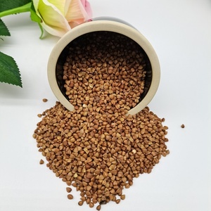 Bán Hạt Kiều Mạch Chất Lượng Tốt Nhất Hạt Kiều Mạch Rang Thô Ngọt - Product Image 2