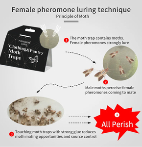 Pièges à mites pour vêtements <span class=keywords><strong>et</strong></span> garde-manger, non toxiques, collants, à phéromones, pour la protection des vêtements <span class=keywords><strong>et</strong></span> des aliments contre les infestations, vente en gros d'usine, personnalisables - Product Image 5