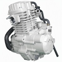 Ensemble Moteur de Tricycle à Refroidissement Liquide Double pour Tricycles Lourds 200cc 250cc 300cc 350cc