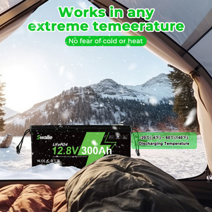 EU PL 우크라이나 창고 24V 12V 100Ah 200Ah 300Ah 리튬인산철(LiFePO4) 배터리 팩 태양광 에너지 저장 LFP 배터리 (캠핑카, RV, 태양광용) - Product Image 3