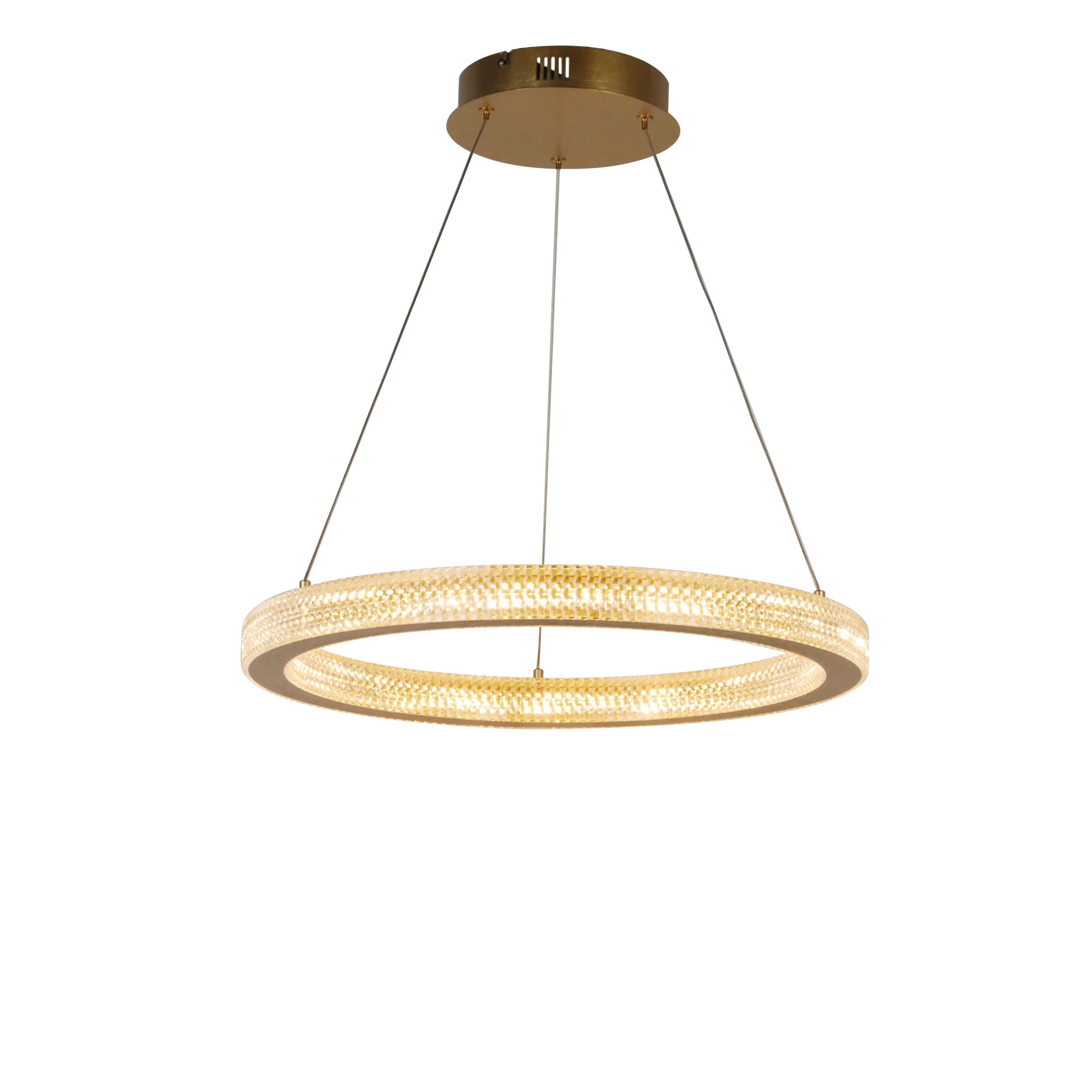 Shinny Gold Crystal Shade Chandelier Light RGB LED Lamp Ring Shape