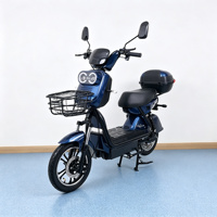 OEM ODM Nouveau Vélo Électrique à Moteur Sans Balais Haute Efficacité 500W, Batterie au Plomb-Acide 60V, Roue de 14 Pouces, E-MOTO E-bike