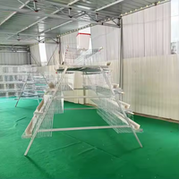 Cage à poules pondeuses galvanisée en forme de A, 4 niveaux, capacité 128/160, cage à poulets en batterie, poulailler en acier pour le marché africain