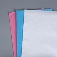 Draps de lit jetables pour salon de beauté, hôpital, hôtel et usage médical - Tissu non tissé, housses de table de massage pour spa, draps de lit