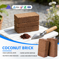 100% naturel Coco Tourbe-Fiber De coco Tourbe De Coco Tourbe de coco Coco briques de coco cocopeat bloc 5kg pour plante