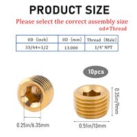 Bouchon de tuyau hexagonal en laiton DIN908 de qualité supérieure, filetage mâle NPT/BSP, haute pression, poli, étanche, pour conduites hydrauliques et pneumatiques