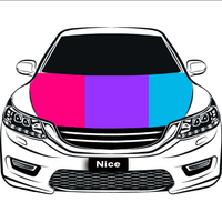 Housse de capot de voiture personnalisée Androgyne Gay Rainbow en polyester, impression par sublimation haute définition pour véhicule de défilé LGBTQ