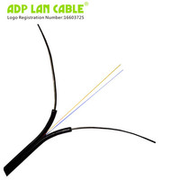 Indoor and Outdoor Fiber Optic Cable with 1 Core and 2 Core G657A2 G657A1 Steel Wire for FTTH Applications
