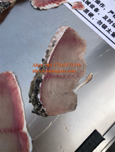 เครื่องหั่นป<span class=keywords><strong>ล</strong></span>า<span class=keywords><strong>แซลมอน</strong></span>บางๆ/เครื่องหั่นป<span class=keywords><strong>ล</strong></span>าทะเ<span class=keywords><strong>ล</strong></span>ปลาหมึกใบมีดคู่/เครื่องหั่นป<span class=keywords><strong>ล</strong></span>า<span class=keywords><strong>ดอง</strong></span>15องศา - Product Image 4