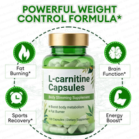 Capsules de L-Carnitine Naturelle Brûle-Graisse – Complément Minceur et Contrôle du Poids pour Adultes – Brûlage Rapide