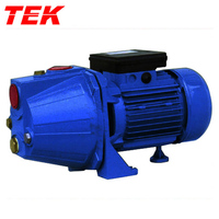 Moteur électrique en cuivre JET100S JET-100S JETS100 JETS-100 0,75 kW, corps en fonte, pompe JET auto-amorçante, fabrication OEM