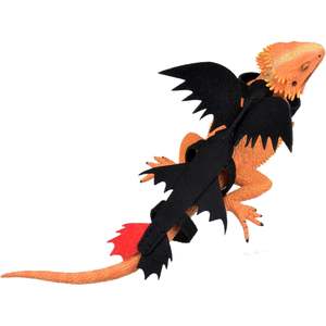 Costume da rettile drago notte Premium per draghi barbuti e gechi per feste fotografiche e accessori di abbigliamento taglia L - Product Image 4