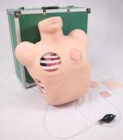 Mannequin de simulation de patient pour la formation médicale en soins infirmiers, la ponction thoracique et le drainage, simulateur de soins aux patients CE/ISO