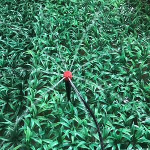 توريد مباشر من المصنع للمنظر الطبيعي للحدائق سقي المسامير المائية بالتنقيط التلقائي - Product Image 4