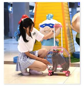 Cesta plegable <span class=keywords><strong>para</strong></span> manillar de bicicleta, cesta delantera <span class=keywords><strong>para</strong></span> bicicleta, bolsa de transporte <span class=keywords><strong>para</strong></span> perros pequeños, se acepta personalizar - Product Image 2