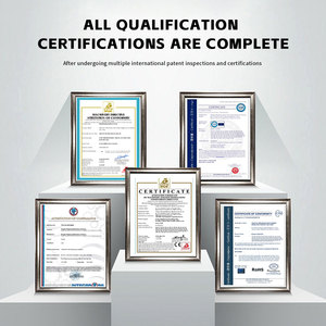 עגורנים חשמליים & מלגזות קיבולת 1.5 טון 2m-4 מ 'להרים עם וואקי-טוקי הרמת-טוקי - Product Image 3