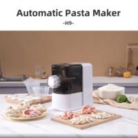Nouilles faisant la machine Pâtes fraîches automatiques faisant la machine Spaghetti faisant la machine