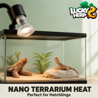 Lampe infrarouge halogène 35W pour terrariums nano, en acrylique, écologique, Luckyherp JX-HL35, lumières chauffantes rouges