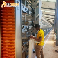 Système d'élevage automatique de 25 000 poulets en cages galvanisées à chaud à 3 niveaux avec alimentation et abreuvement pour le Kenya