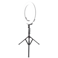 Kingjoy Photographic Tik Tok 19 pouces Ringlight Fabricant de beauté Maquillage Anneau lumineux LED avec trépied