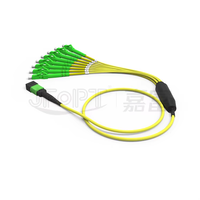 Câble de brassage 8 fibres OS2 MPO APC vers LC APC G657A1 à faible perte, polarité A/B/C, pour centre de données