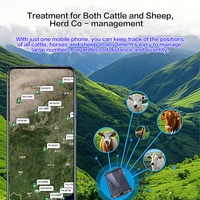 Traceur GPS GLONASS WiFi pour moutons, bovins, vaches, garantie 1 an, 4G, étanche, alimenté par batterie, compatible Android IOS, utilisation agricole