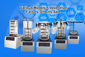 Meilleure vente de lyophilisateur de laboratoire de haute qualité SUS316L organique lyophilisé fruits nouvelle usine de fabrication - Product Image 4
