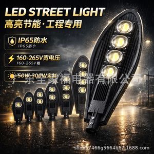 Farola LED de 100W 150W, Cuerpo de Aleación de Aluminio Tipo III, Distribución de Iluminación Exterior, Impermeable IP65, Lámpara de Carretera de Alto Lumen - Product Image 2