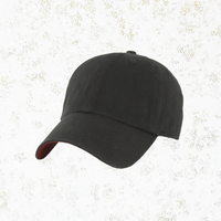 Casquette de baseball en coton personnalisée, délavée, réglable, unisexe, vierge, pour le sport et les loisirs en extérieur, brodée en 3D, casquette trucker à 5 panneaux