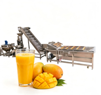 Productielijn voor fruit- en groentesap voor het maken van gemengde puree-nectar met sorteer-, crush- en extractie-apparatuur