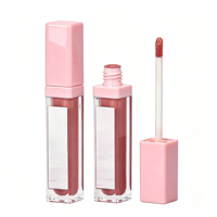 Gloss à lèvres LED avec miroir, imperméable, pigmenté, brillant et mat, mignon, avec lumière LED et miroir