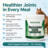 Poudre de soutien articulaire équine OEM ODM Glucosamine Chondroïtine MSM Mobilité Flexibilité Marque Privée