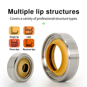 <b>PTFE</b> Lip Oil Seal with Stainless Steel Housing Single Lip and Dual Lip Rotary Shaft Oil Seal - Product Image 4