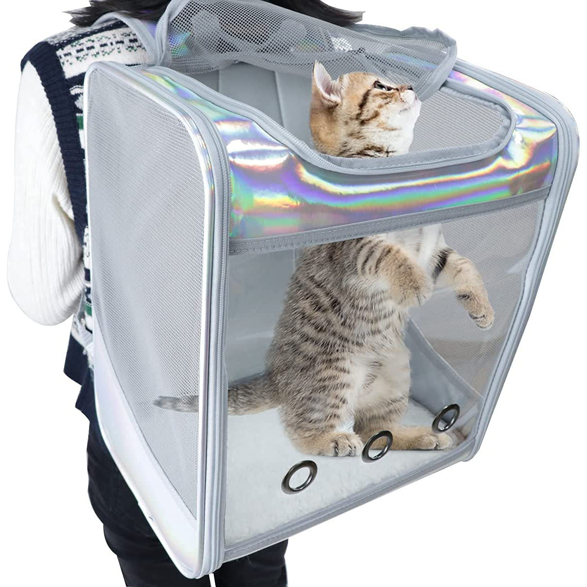 โปร่งใส