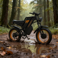 Neumático de nieve/playa para bicicleta eléctrica de 20 pulgadas con motor de 48V y 500W para aventuras todoterreno de W