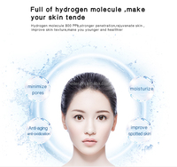 Dispositivo Portátil de Pulverización Facial con Hidrógeno Recargable por USB, Mini Vaporizador Facial, Rociador para Uso en Exteriores