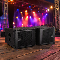 Speaker Line Array NEARSTAR 500W Dua Jalur 8 Ohm Kabinet Kayu Lapis untuk Acara Panggung