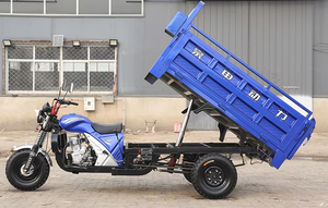 <span class=keywords><strong>Triciclo</strong></span> de Combustible Zongshen con Neumáticos Anchos Antideslizantes, Ideal para Transporte de Pasajeros y Carga en Zonas Urbanas y Rurales - Product Image 6