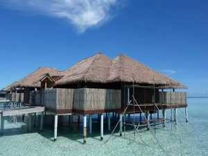 Techo de hierba Sombrilla de paja Plástico Artificial Techo artificial sintético <span class=keywords><strong>Palma</strong></span> Sintetica - Product Image 5