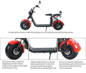 Scooter électrique Citycoco 1000W à la mode, en alliage d'aluminium, suspension intégrale, structure étanche et antichoc, batterie 36V 12Ah - Product Image 3