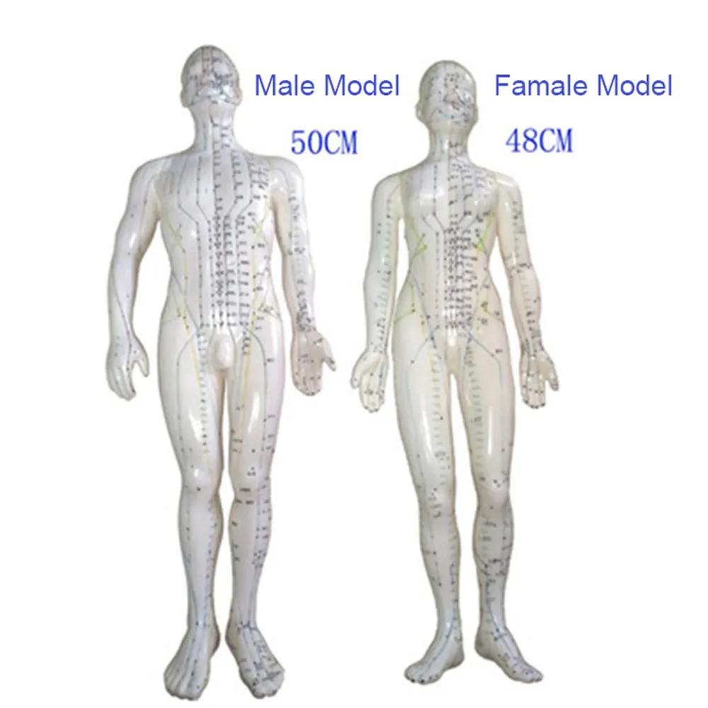 Yüksek kaliteli vücut 48cm kad akupunktur modeli PVC malzeme yumuşak esnek modeli akupunktur noktası modeli tıbbi kullanım için