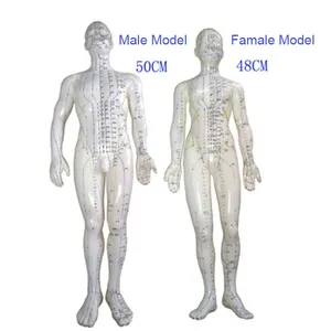 Cuerpo de alta calidad 48cm Famale modelo de acupuntura Material de PVC modelo Flexible suave modelo de punto de acupuntura para uso médico