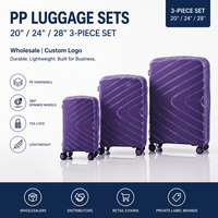 Valise cabine rigide PP 20 pouces violette conforme REACH avec poignée latérale – Assortiment de détail pour fournisseurs