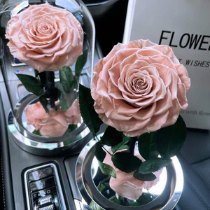 Fornitura Diretta dalla Fabbrica: Rosa Eterna Conservata Sotto Cupola di Vetro, Confezione Regalo con Luce LED - Product Image 6