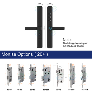 Impermeable Tuya Wifi App Smart DoorLock biométrico <span class=keywords><strong>de</strong></span> seguridad TTlock puerta electrónica Digital deslizante manija <span class=keywords><strong>de</strong></span> vidrio <span class=keywords><strong>cerradura</strong></span> inteligente - Product Image 6