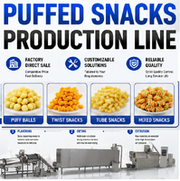 Nouvelle machine de fabrication de snacks fourrés, extrudeuse à double vis entièrement automatique en acier inoxydable 304, capacité élevée de 100-1000 kg/h