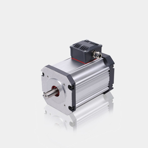 มอเตอร์ไฟฟ้าแบบไร้แปรงถ่าน <span class=keywords><strong>DC</strong></span> IP54 375W 1500rpm IE4 BLDC สำหรับประตูอัตโนมัติ - Product Image 2