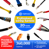 Kabel Harness JST XH Custom 2 3 4 5 Pin, Kabel Konektor Perakitan, Produsen Kabel Listrik, Kabel Listrik, Wiring Harness
