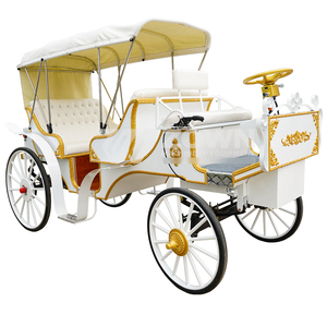 Voiture électrique bleue de tourisme, charrette à chevaux vintage avec auvent pour les voyages de loisirs - Product Image 4