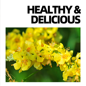 Thé Herbal OEM à base de Feuilles de Molène pour le Confort Respiratoire et de la Gorge, Végétalien et Sans OGM, 20 Sachets de Thé (1,5g chacun) en Boîte - Product Image 3